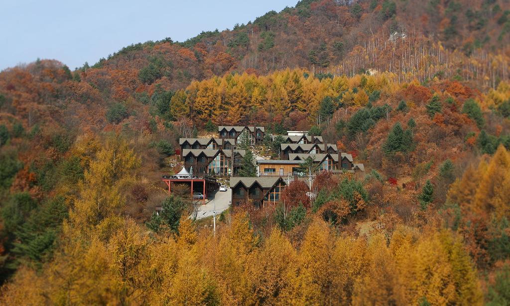 Chalet Resort Pyeongchang Extérieur photo