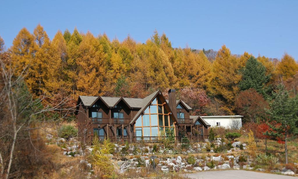 Chalet Resort Pyeongchang Extérieur photo
